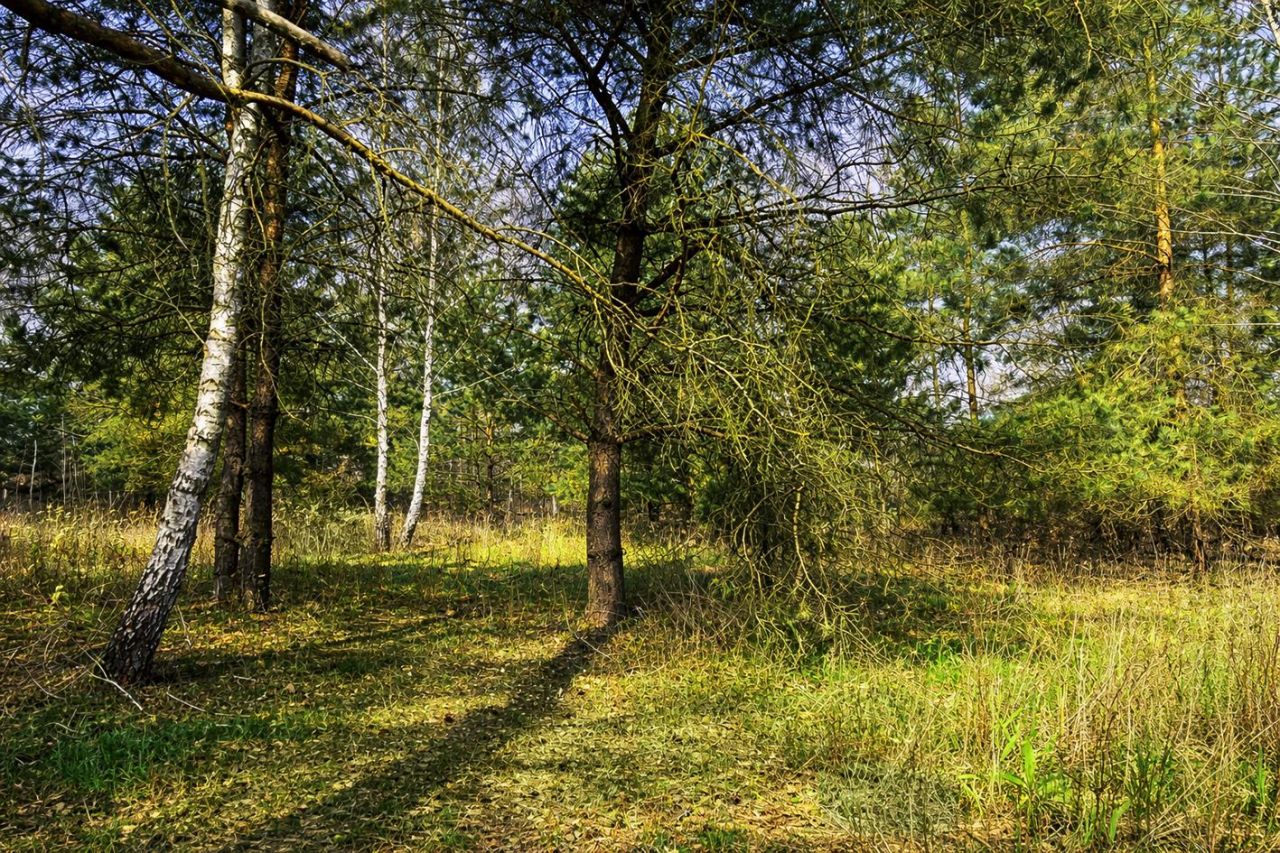 Działka budowlana Uwieliny, ul. Spokojna. Zdjęcie 4
