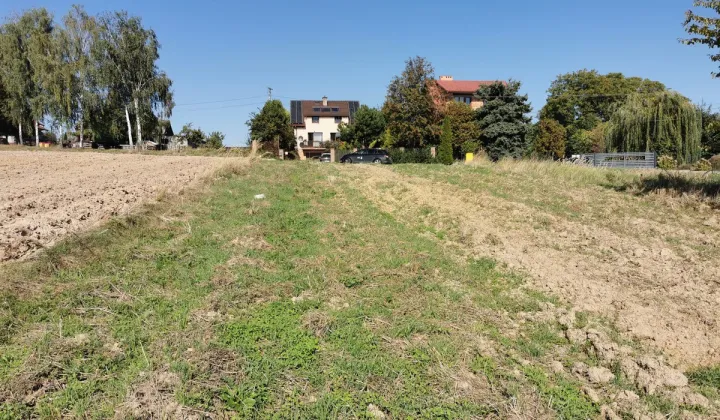 Działka rolno-budowlana Krasieniec Zakupny, ul. Zielna