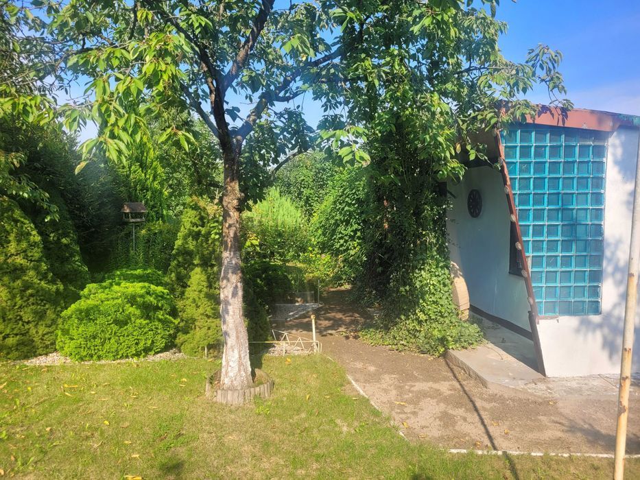 Działka rod Szamotuły, ul. Wojska Polskiego. Zdjęcie 8