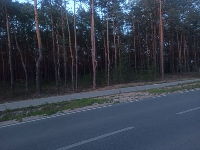 Działka leśna Wyszków. Zdjęcie 1