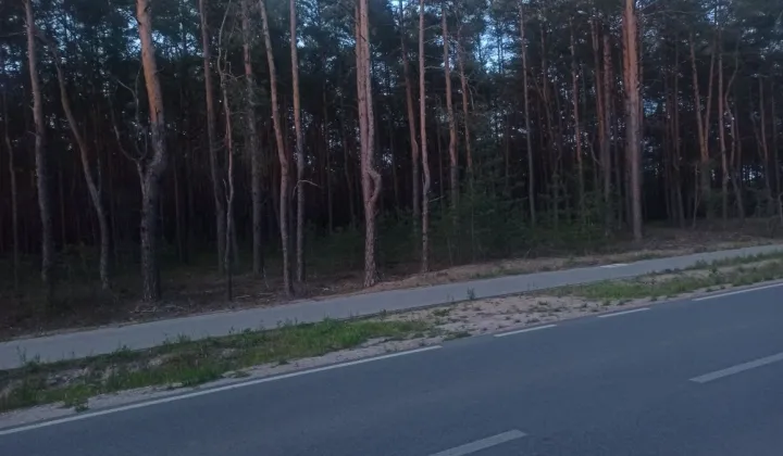 Działka leśna Wyszków