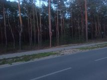 Działka leśna Wyszków