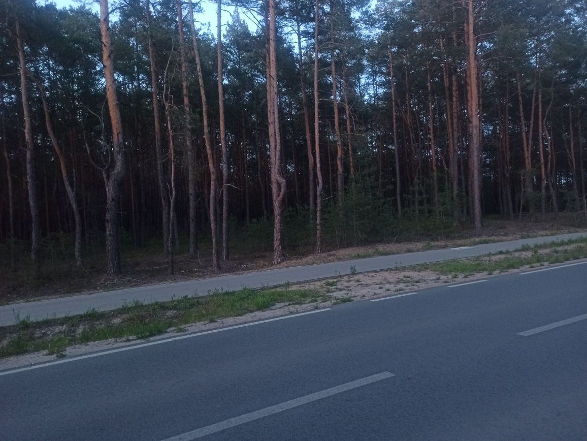 Działka leśna Wyszków