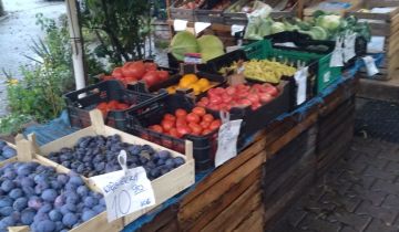 Lokal Wrocław Popowice