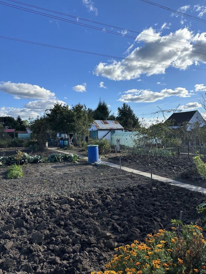 Działka rod Gdańsk Olszynka, ul. Zawodzie. Zdjęcie 7