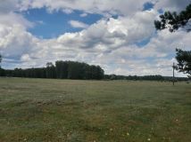 Działka budowlana Zieleniec. Zdjęcie 2