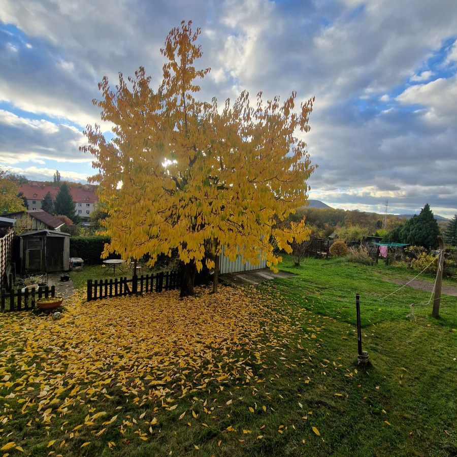 Mieszkanie 3-pokojowe Wałbrzych Nowe Miasto. Zdjęcie 16