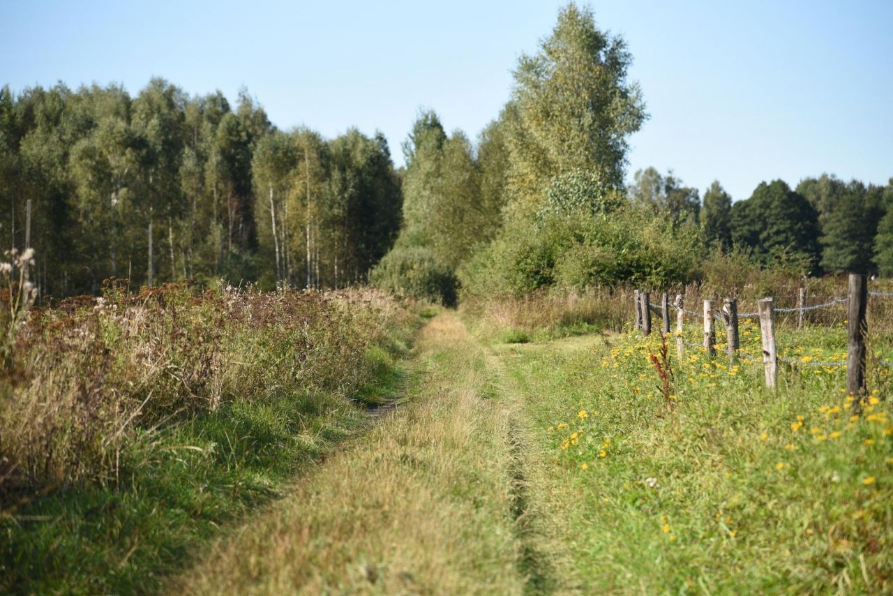 Działka rekreacyjna Piasutno