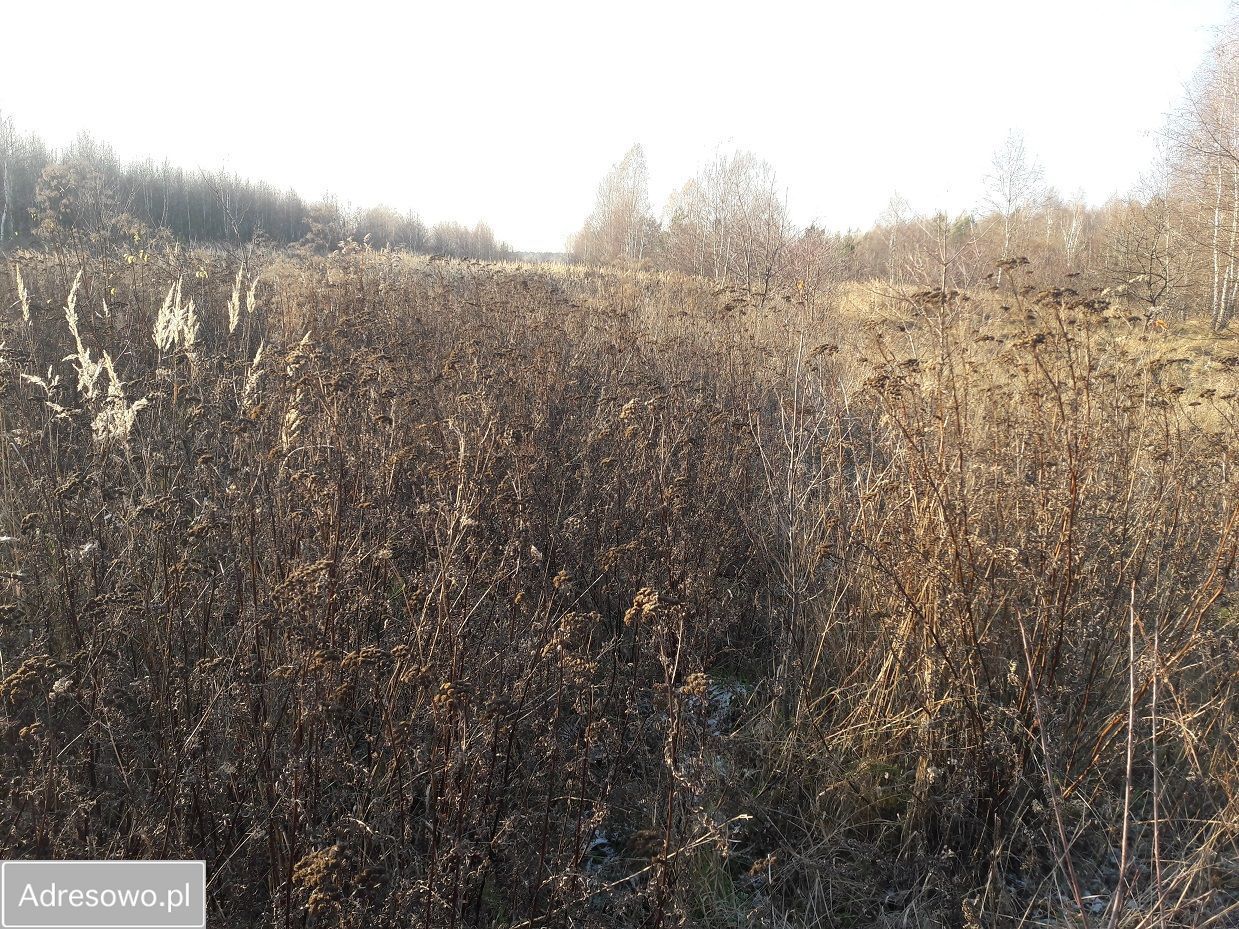 Działka inwestycyjna Szydłowiec, ul. Polna. Zdjęcie 8