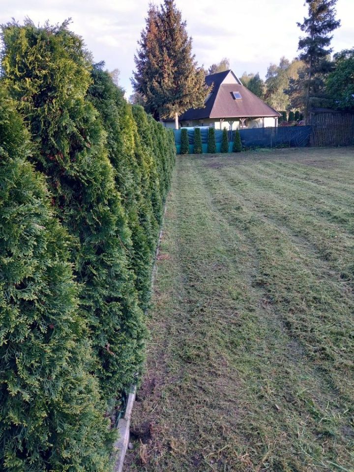 Działka Wieleń, ul. Dojazdowa. Zdjęcie 3