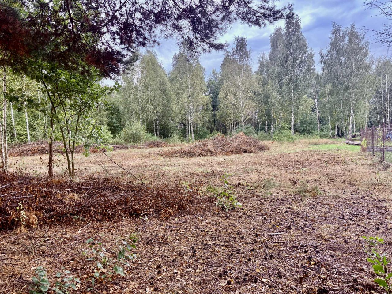 Działka budowlana Budziska. Zdjęcie 7
