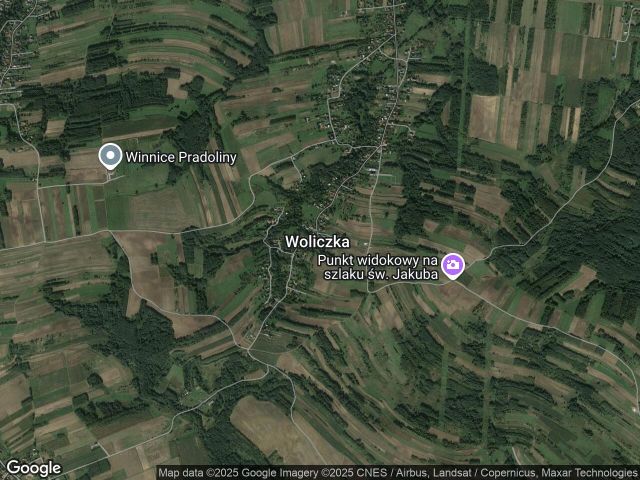 Działka rolna Woliczka. Zdjęcie 1