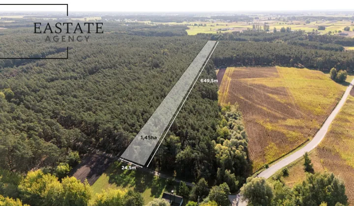 Działka leśna Maurzyce