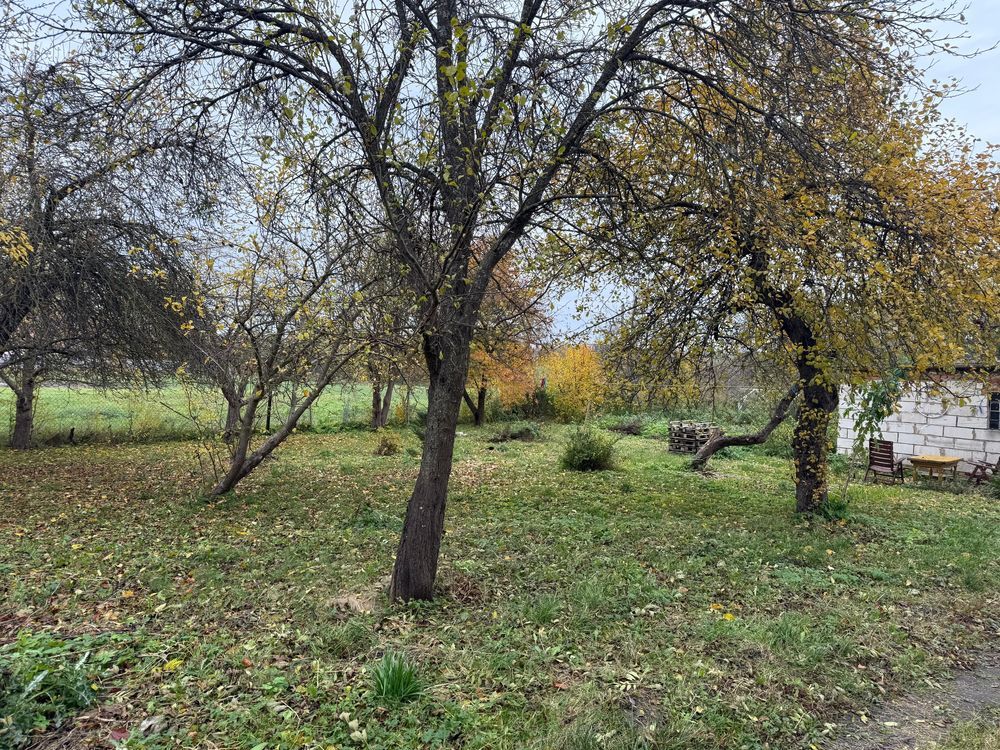 bliźniak Mnichowo. Zdjęcie 8