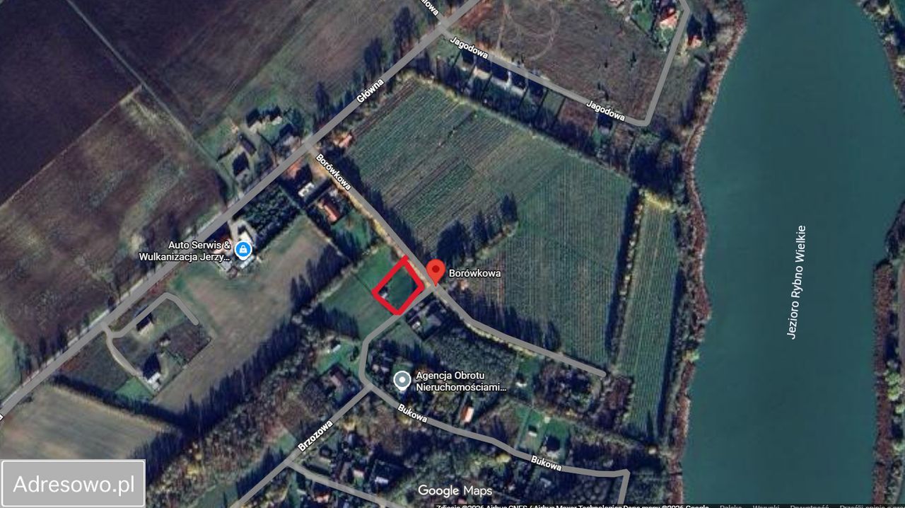 Działka budowlana Rybno Wielkie, ul. Borówkowa. Zdjęcie 10