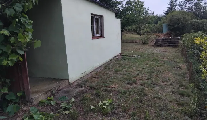Działka rod Dębno, ul. Dargomyska