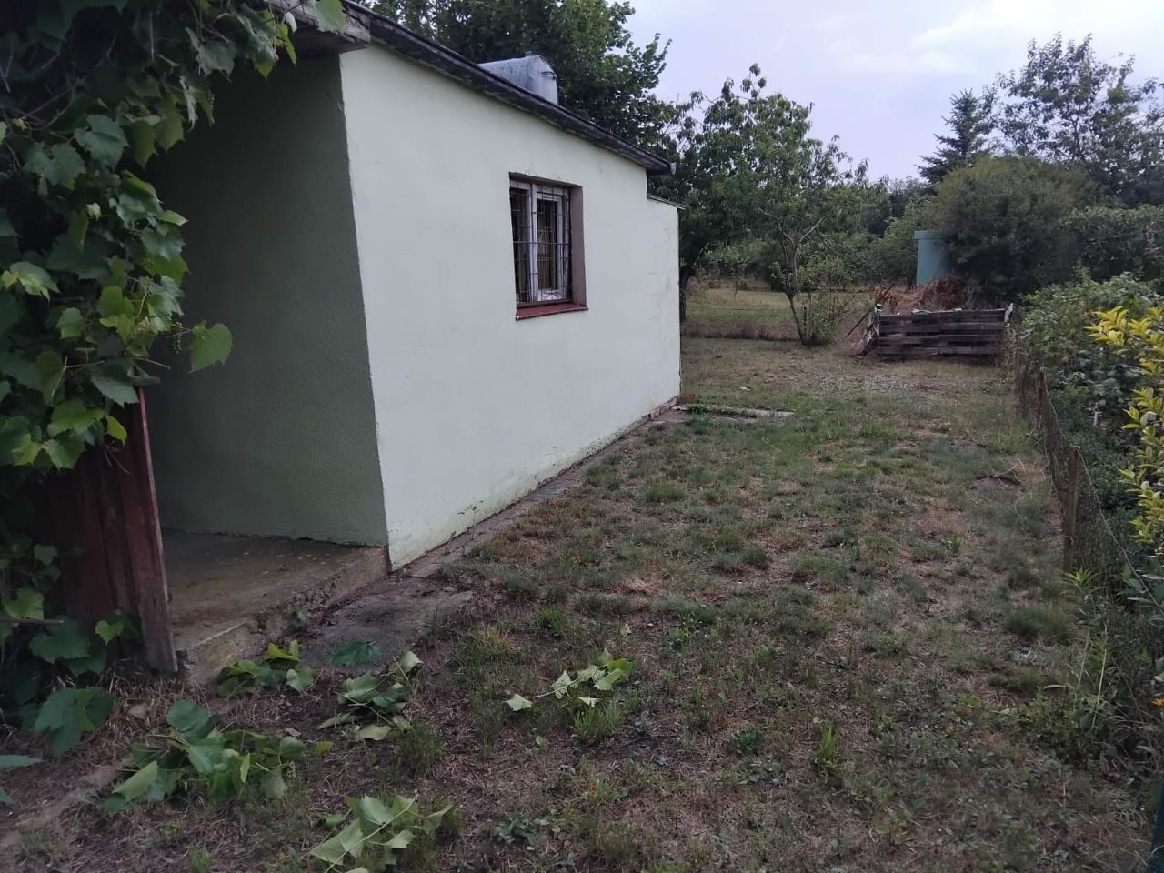 Działka rod Dębno, ul. Dargomyska. Zdjęcie 1