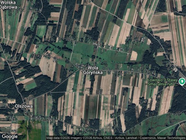 Działka budowlana Wola Goryńska. Zdjęcie 1