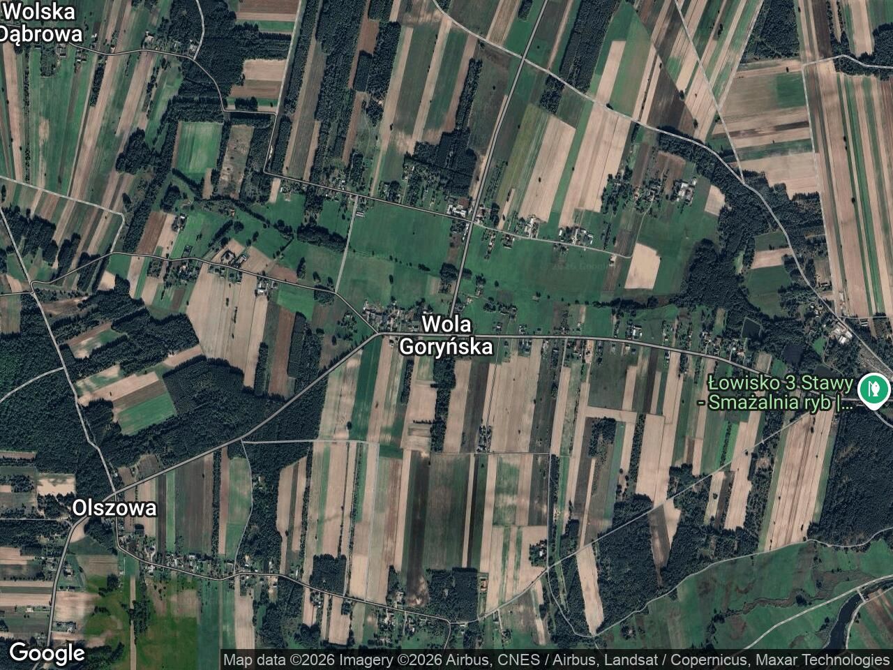 Działka budowlana Wola Goryńska. Zdjęcie 1