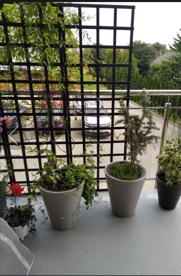 Mieszkanie 1-pokojowe Rzeszów Drabinianka, ul. Strażacka. Zdjęcie 7