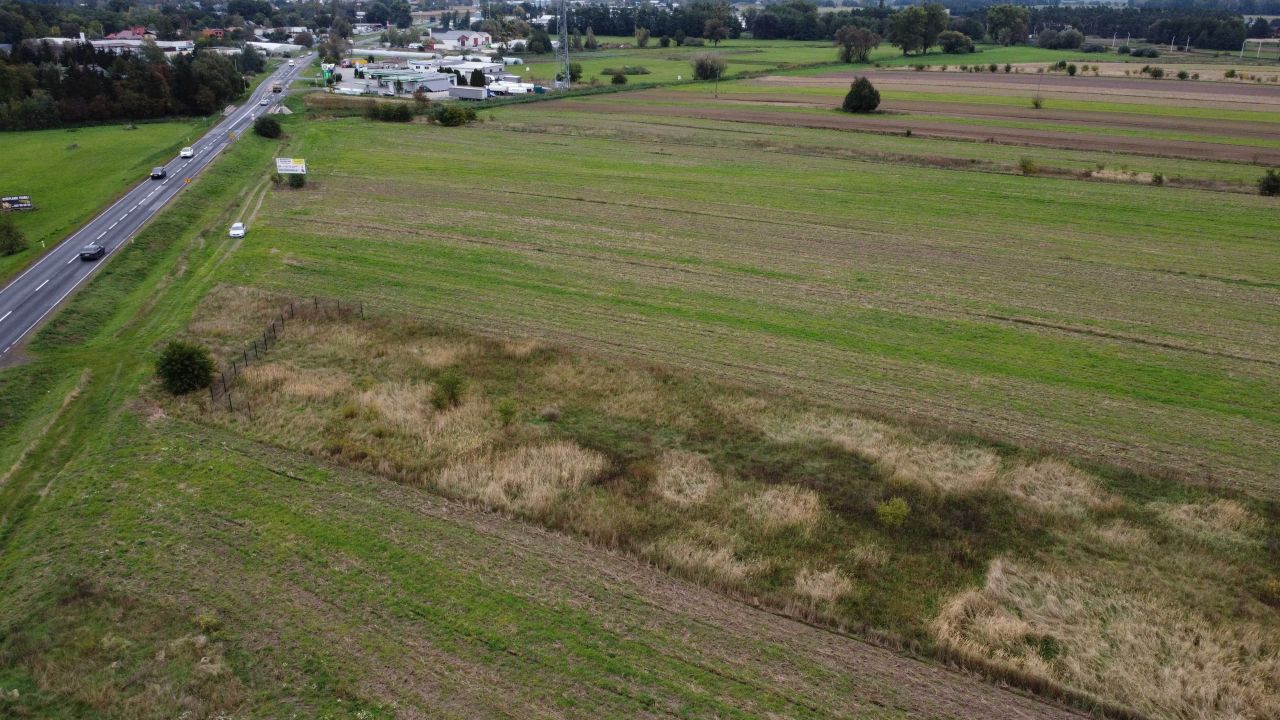 Działka inwestycyjna Słupca. Zdjęcie 3