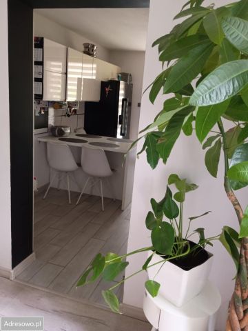 dom wolnostojący, 4 pokoje Pałuki. Zdjęcie 1