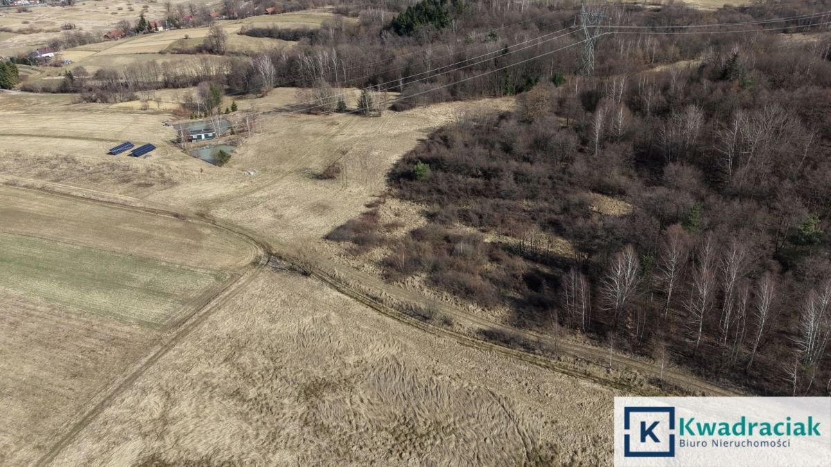 Działka rolna Lutcza. Zdjęcie 3