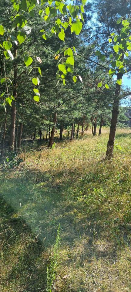 Działka rolna Kowala. Zdjęcie 2