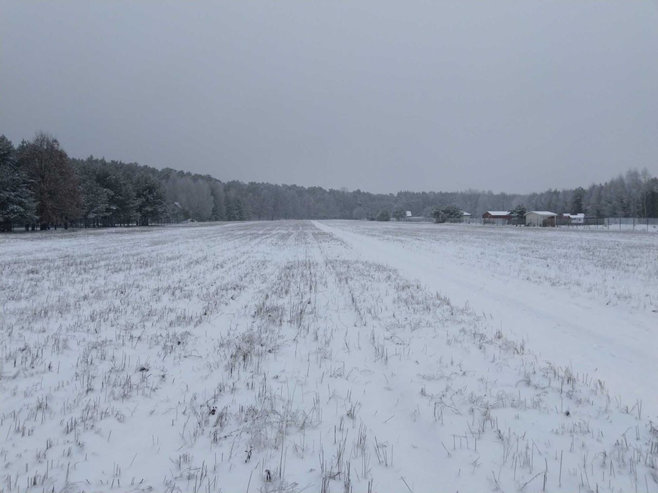 Działka budowlana Choinek. Zdjęcie 6