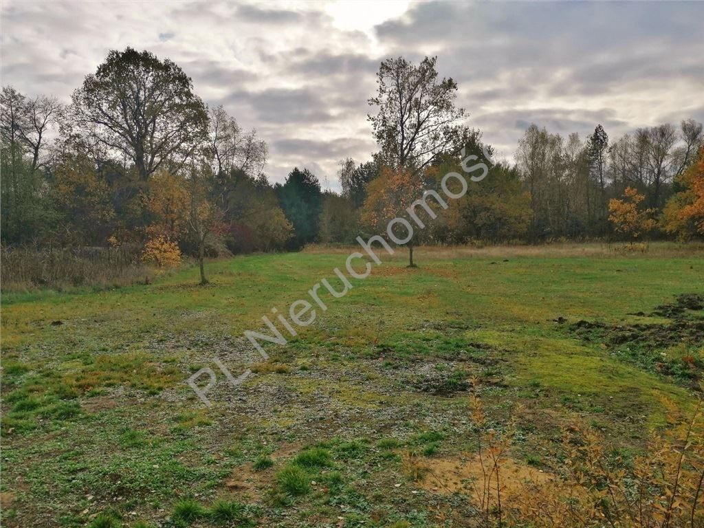 Działka budowlana Nowe Załubice, ul. Kościelna. Zdjęcie 6