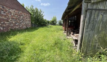 gospodarstwo Delfina