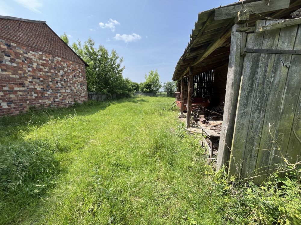 gospodarstwo Delfina. Zdjęcie 2