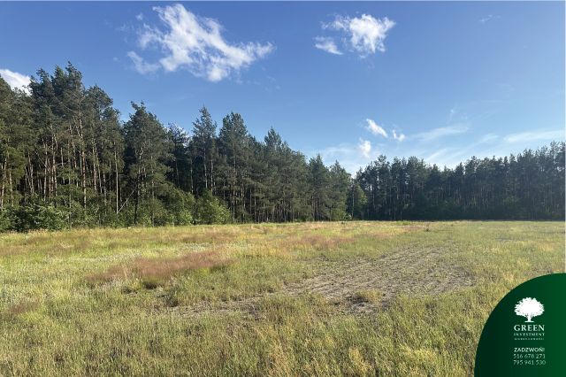 Działka rolno-budowlana Likiec. Zdjęcie 5