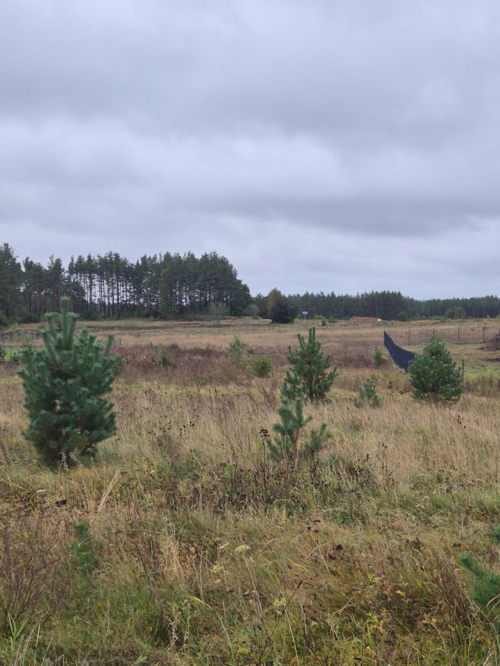 Działka budowlana Mściszewice. Zdjęcie 5