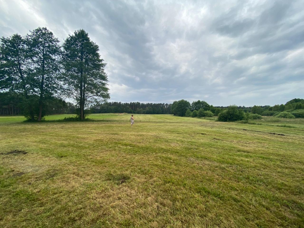 Działka rolna Osieczna. Zdjęcie 5