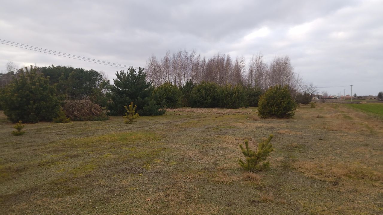 Działka rolno-budowlana Borówek. Zdjęcie 5