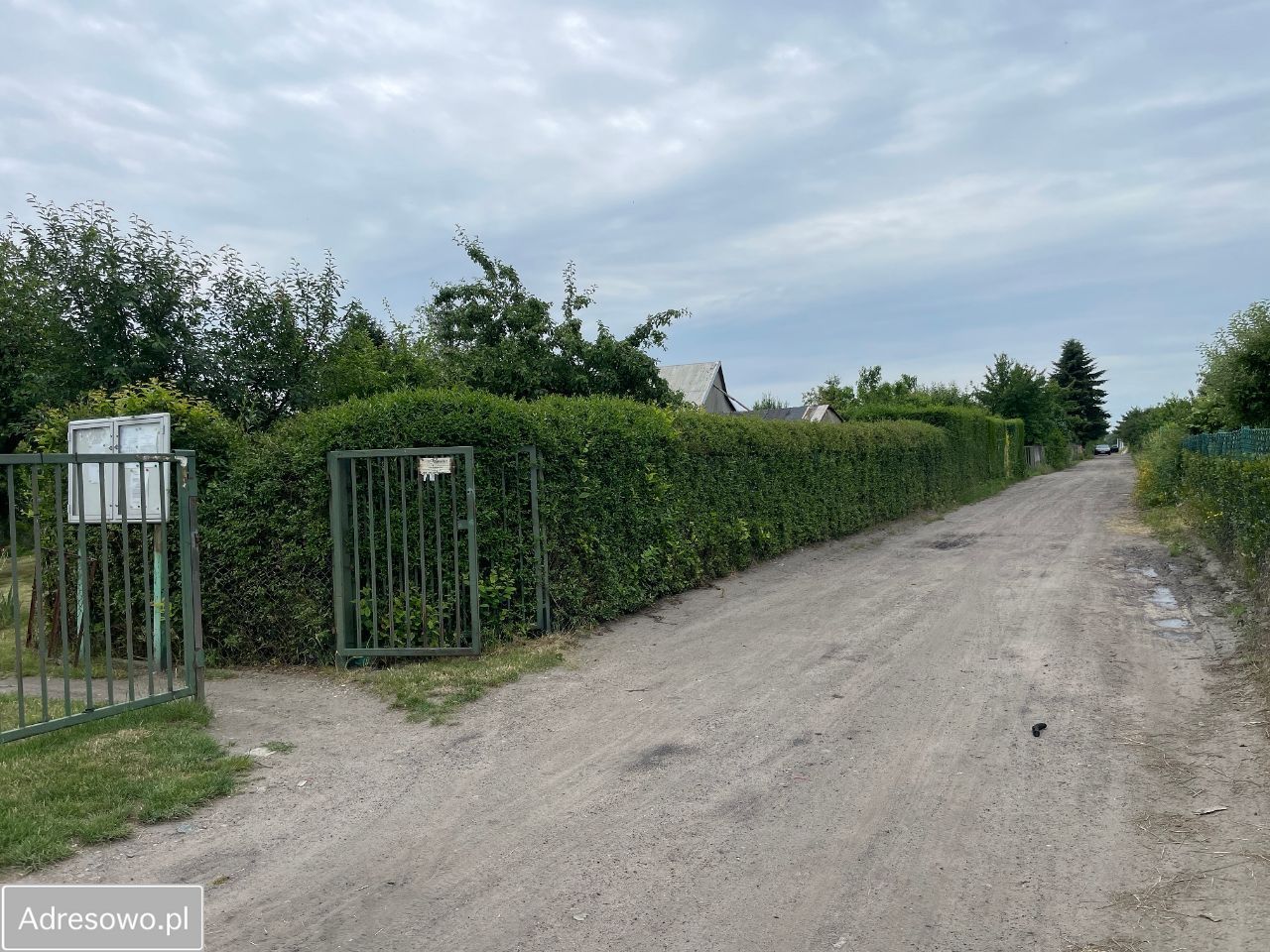 Działka rod Jelcz-Laskowice, ul. Piastowska. Zdjęcie 5