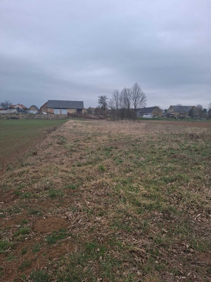 gospodarstwo Magnuszowice. Zdjęcie 2