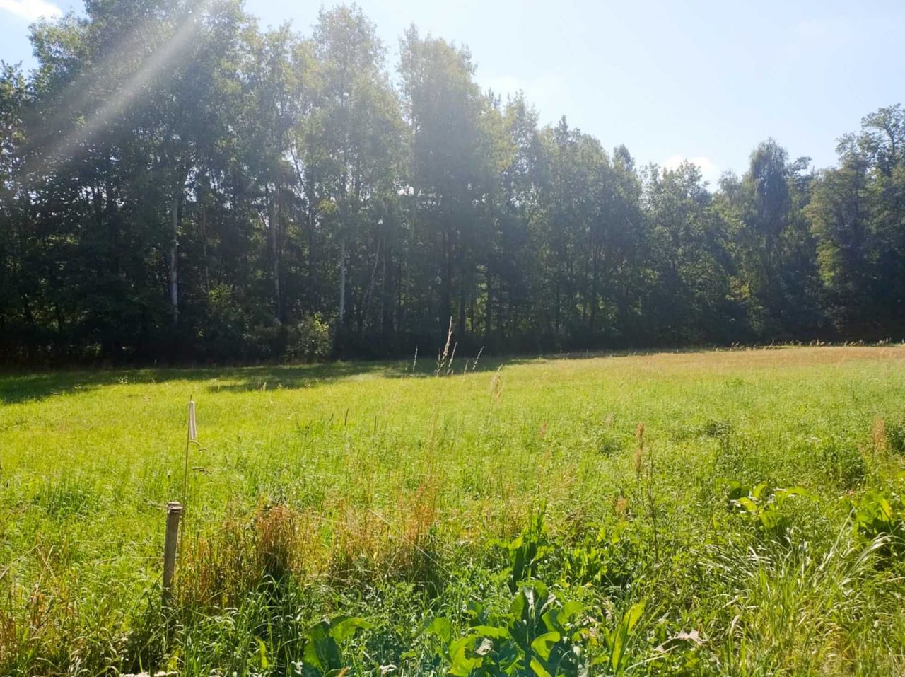 Działka budowlana Końskie, ul. Gimnazjalna. Zdjęcie 7