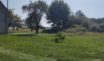 Działka siedliskowa Cisów