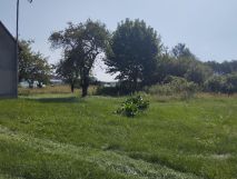 Działka siedliskowa Cisów. Zdjęcie 1