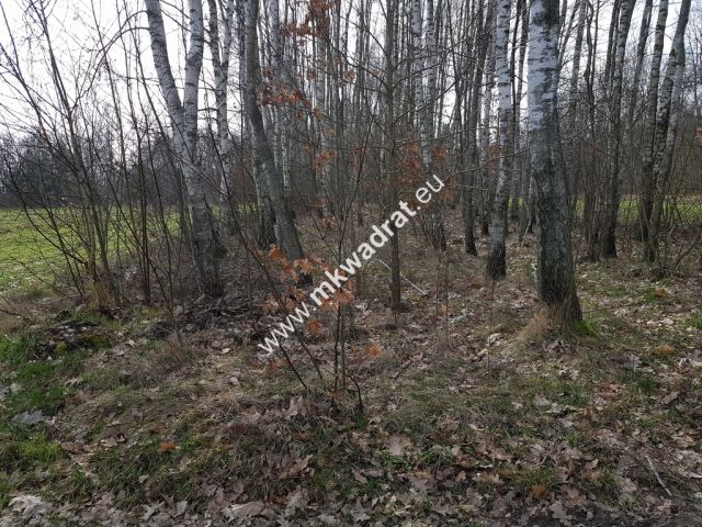 Działka rolna Borszyce. Zdjęcie 5