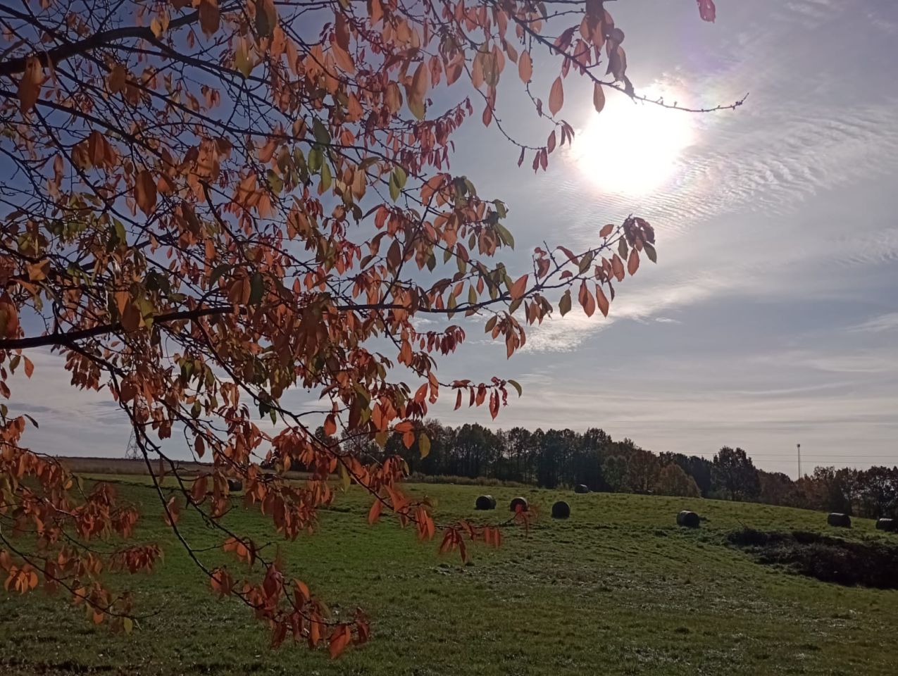 dom wolnostojący, 8 pokoi Radostów Średni, Radostów Średni. Zdjęcie 35