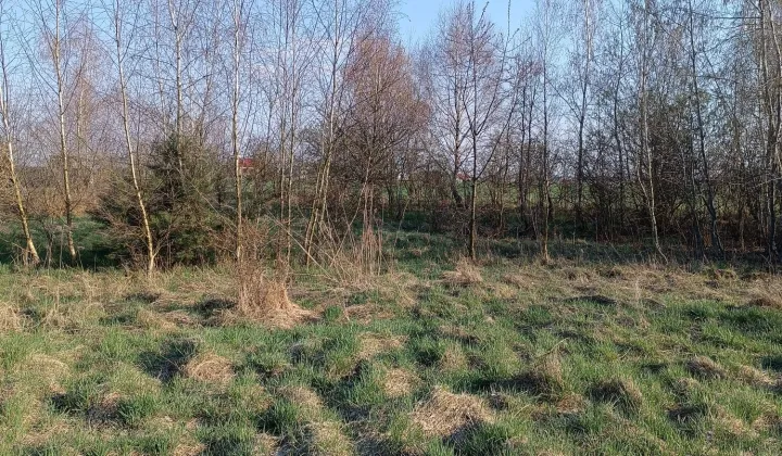 Działka budowlana Kaźmierz, ul. Łabędzia