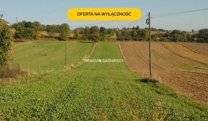 Działka rolno-budowlana Brzezie