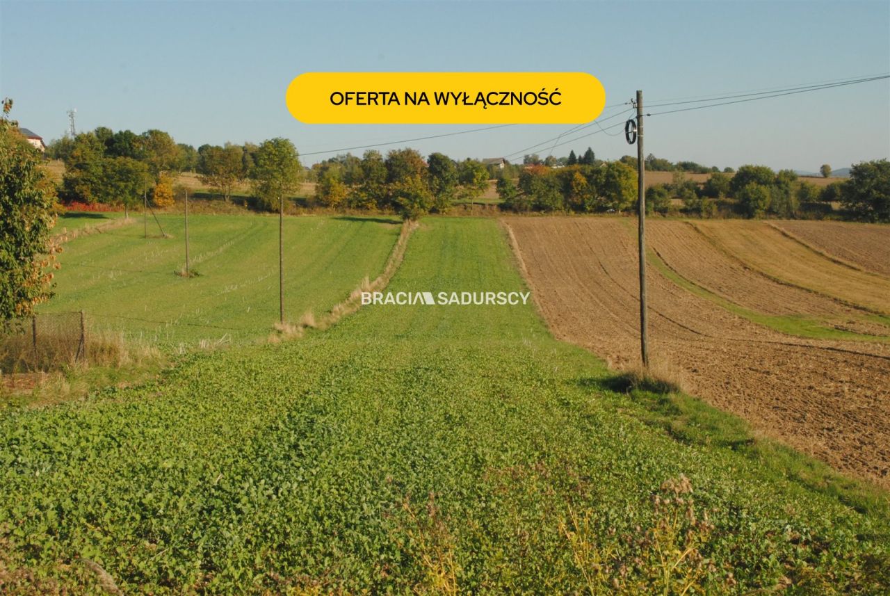 Działka rolno-budowlana Brzezie. Zdjęcie 1