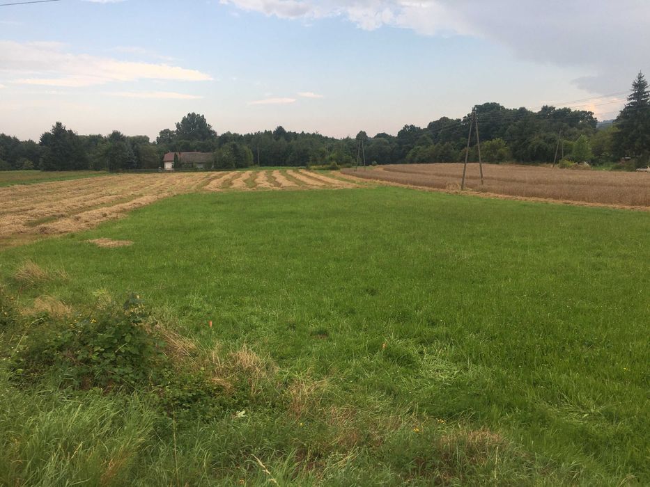 Działka budowlana Pilzno, ul. Wincentego Witosa. Zdjęcie 1