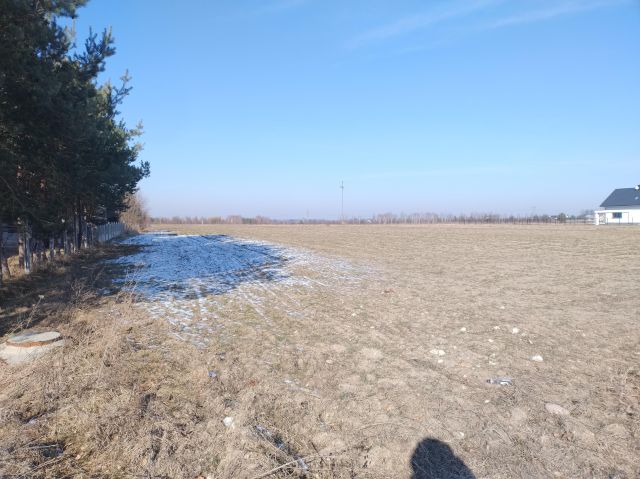 Działka budowlana Orońsko, ul. Dworska. Zdjęcie 1