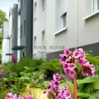 Mieszkanie 2-pokojowe Wrocław Psie Pole, ul. Opolska. Zdjęcie 4