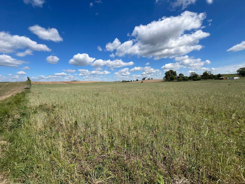Działka budowlana Bachotek. Zdjęcie 4